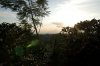 Costa Rica - Kaffee-1.jpg