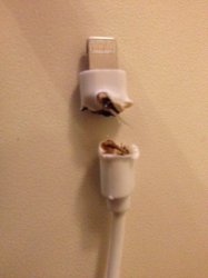 image.jpeg