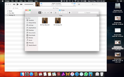 Screen Shot 2016-08-10 at 10.51.43.png