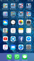 IMG_3400.PNG