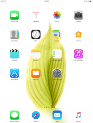 IMG_0003.PNG