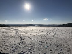IMG_0820.JPG