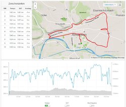 strava.JPG