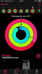 Ringe1.jpg