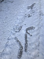 IMG_0934.JPG