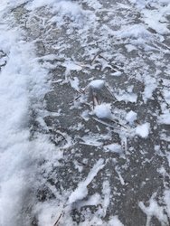 IMG_0935.JPG