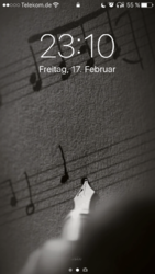 IMG_7373.PNG