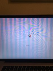 3CD36767-4E1E-4944-AE54-A7AF5AA7EDD5.jpeg