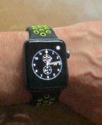 IMG_0029.jpg