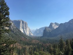 IMG_3792.JPG