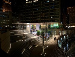IMG_7436.jpg