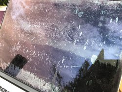 IMG_1422.JPG