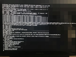 IMG_4177.jpeg