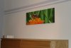 DSC06670.jpg