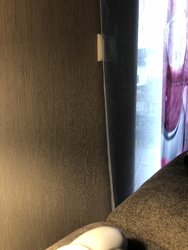 7687F59F-DC0A-4FD2-B69B-0662C2A217A2.jpeg