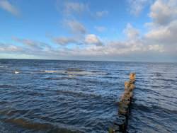 IMG_0023.jpeg