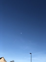 9429354E-3C94-42A9-8709-8E82E1541CA9.jpeg