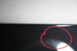 D070A549-51AD-43C4-8BB3-07B84B64E315.jpeg