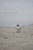 DSC_0132.jpg