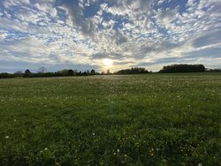 95239E8E-0D0C-4F16-BC51-CD57D1E9852F.jpeg