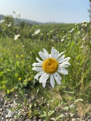 IMG_0162.JPEG