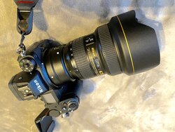 IMG_2073.jpg