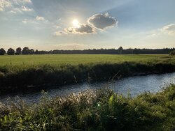 F3456167-FEF1-476E-9F32-E737EB9E1CC0.jpeg