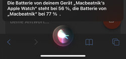 BAF80EEF-74AC-43BD-907C-159BB0CD4BA2.jpeg