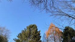 IMG_0473.JPEG