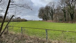 IMG_1206.jpg
