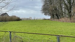 IMG_1207.jpg