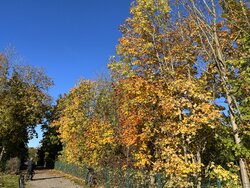 IMG_0356.jpg