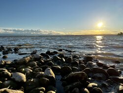 FA527978-0836-4C97-BB81-B1C0857C40B8.jpeg