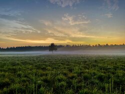 D4C51E5C-4A8F-4895-86FF-827A6CB78D49.jpeg