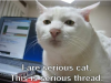 Bild 2.png