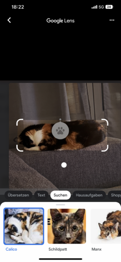 DDAC92F9-F108-4E51-A3EA-DA5FCE61F454.png