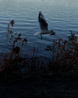 61525DA6-B4E4-41A1-815A-8C10B329DF53.jpeg