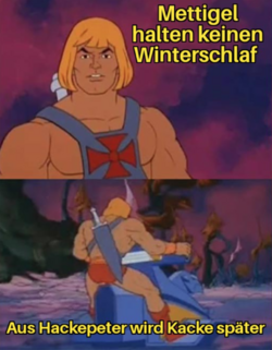 Ohne Titel.png