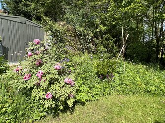 IMG_0192.jpeg