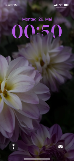 IMG_1037.png