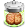 DomainBrain.png