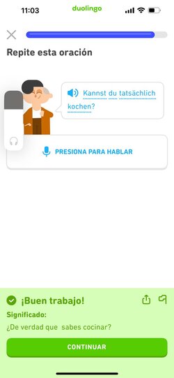 duolingo.jpeg