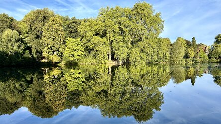 IMG_8334.jpeg