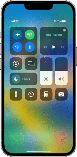 IMG_6753.gif