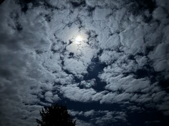 IMG_0157.jpeg