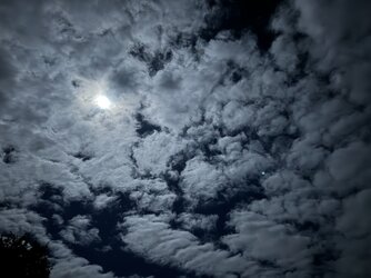 IMG_0155.jpeg