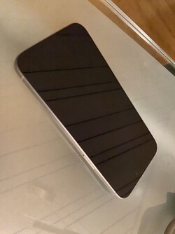 IMG_2128.jpeg