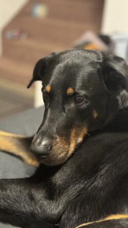 IMG_0674.jpeg