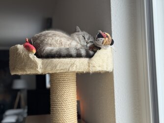 IMG_0168.jpeg