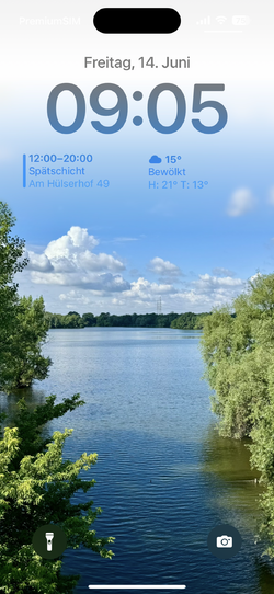 IMG_1162.PNG